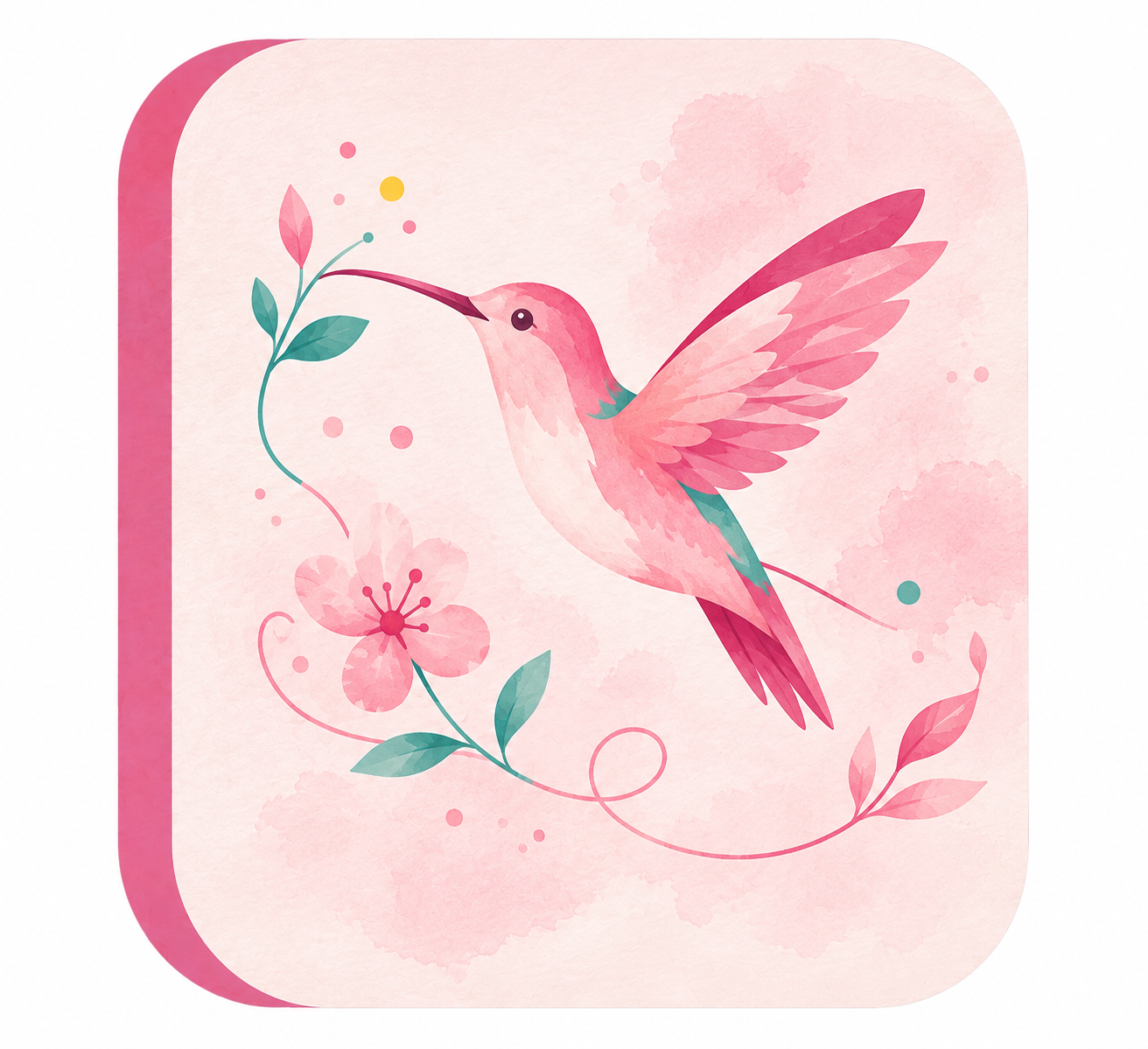 plan colibri plan colibri